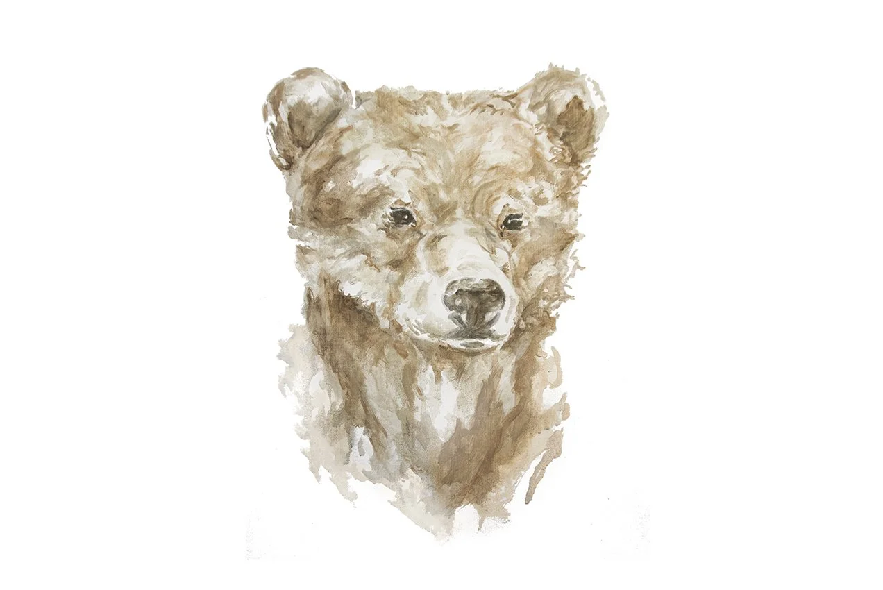 bear-website.jpg