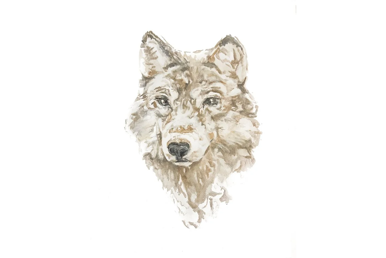 wolf-website.jpg