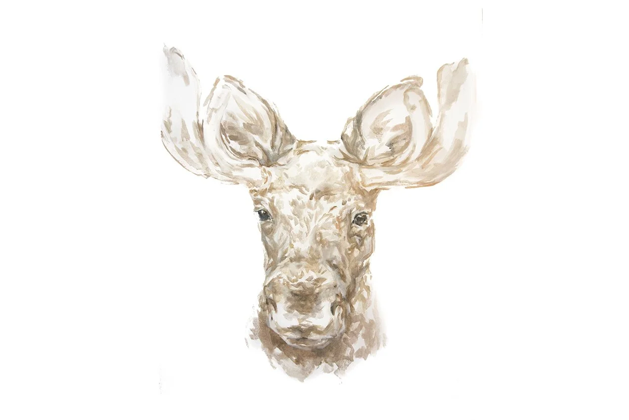 moose-website copy.jpg