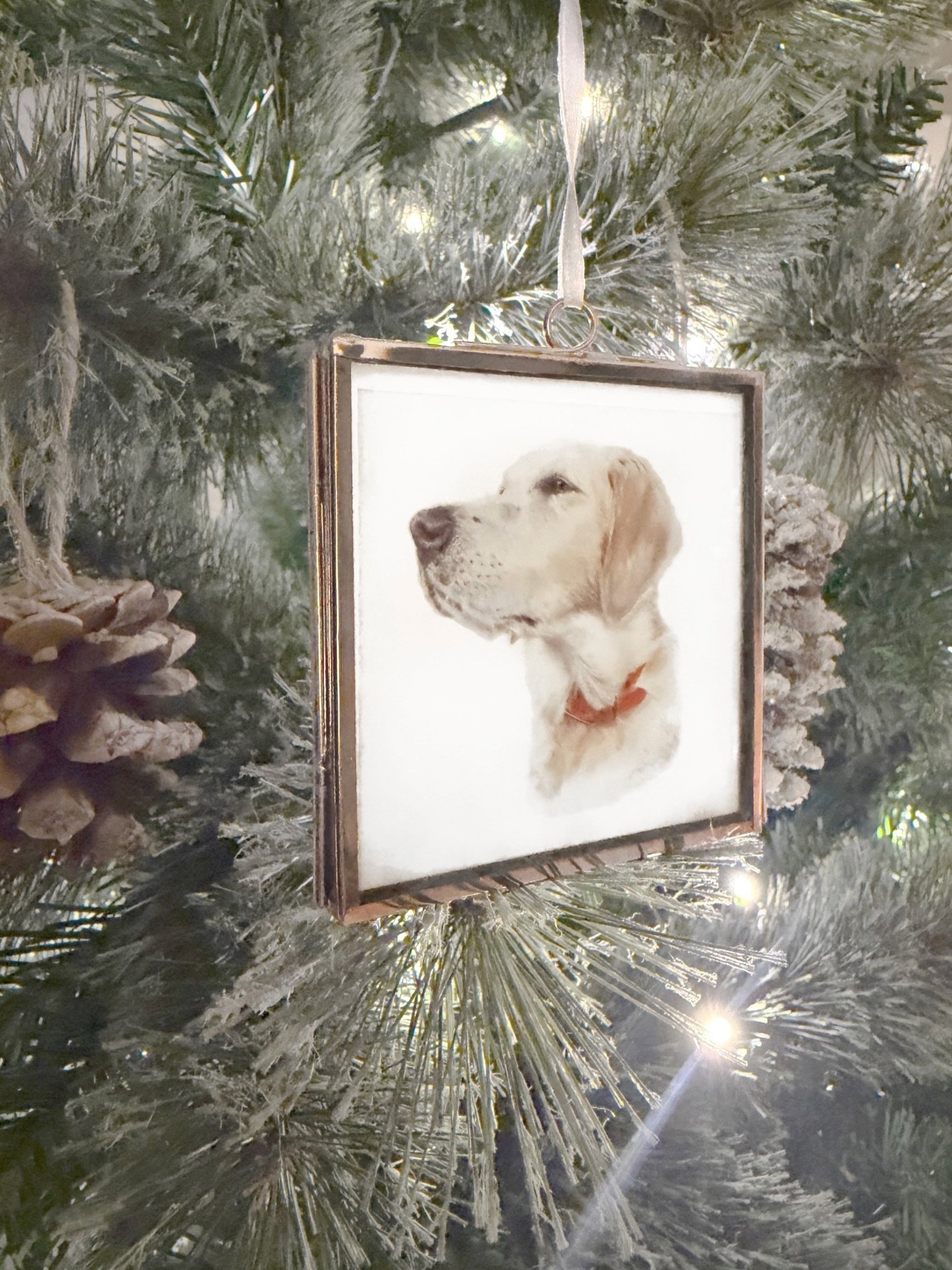 sweet baloo-girl, christmas puppy