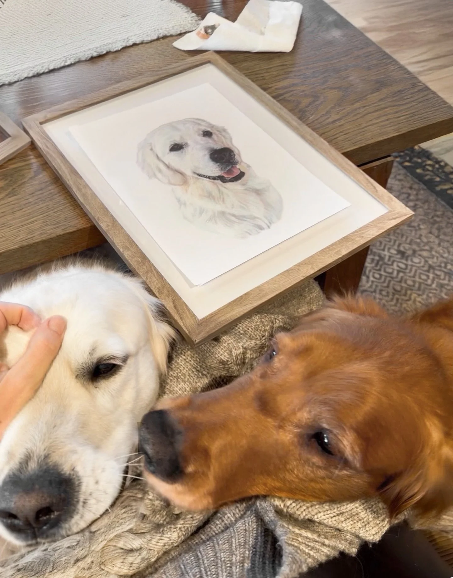 two under the table goof-snugs and a pencil sketch of sweet nikita-girl 🤍
