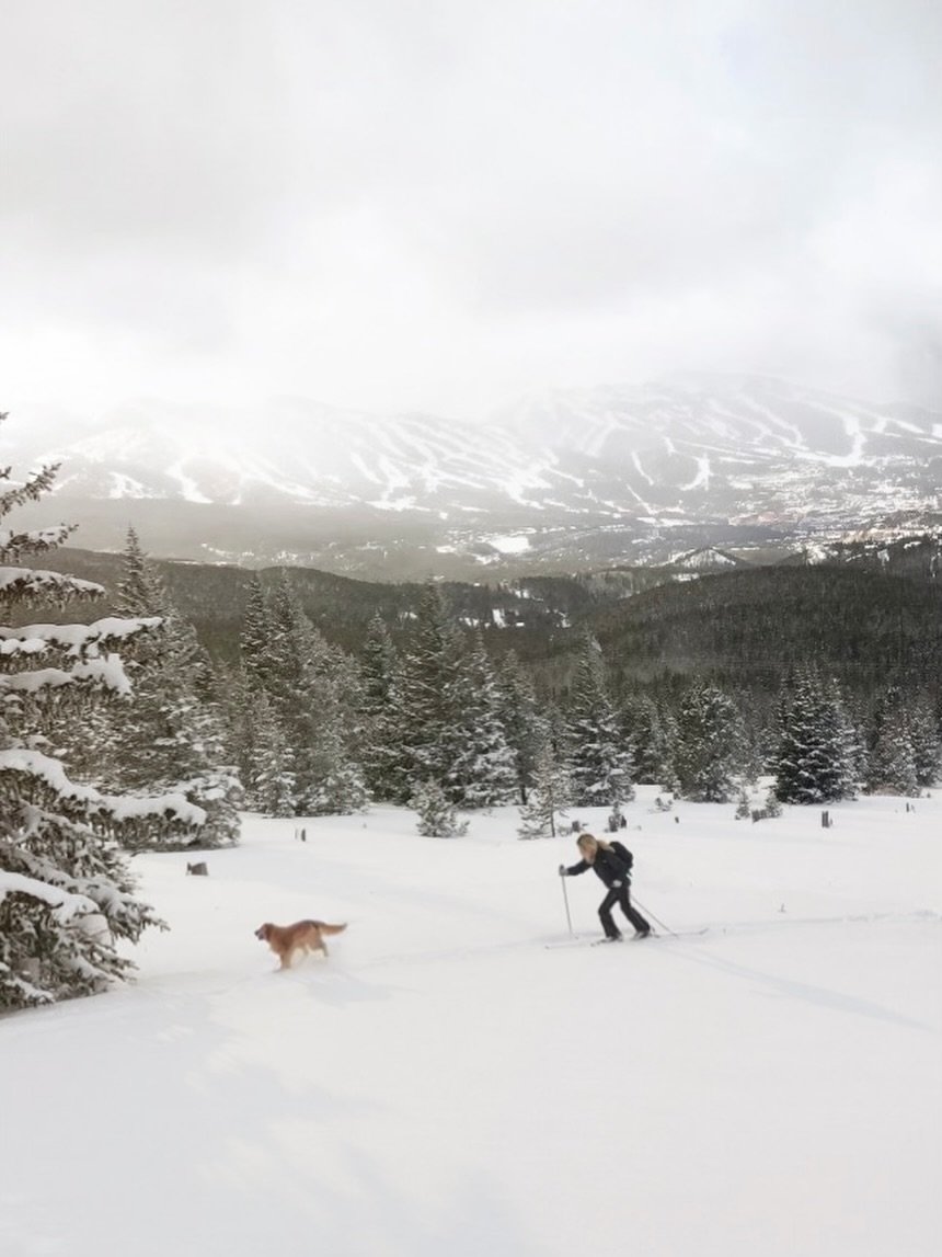 inspired: in spirit to | i just love this lil&rsquo; boy 🐾