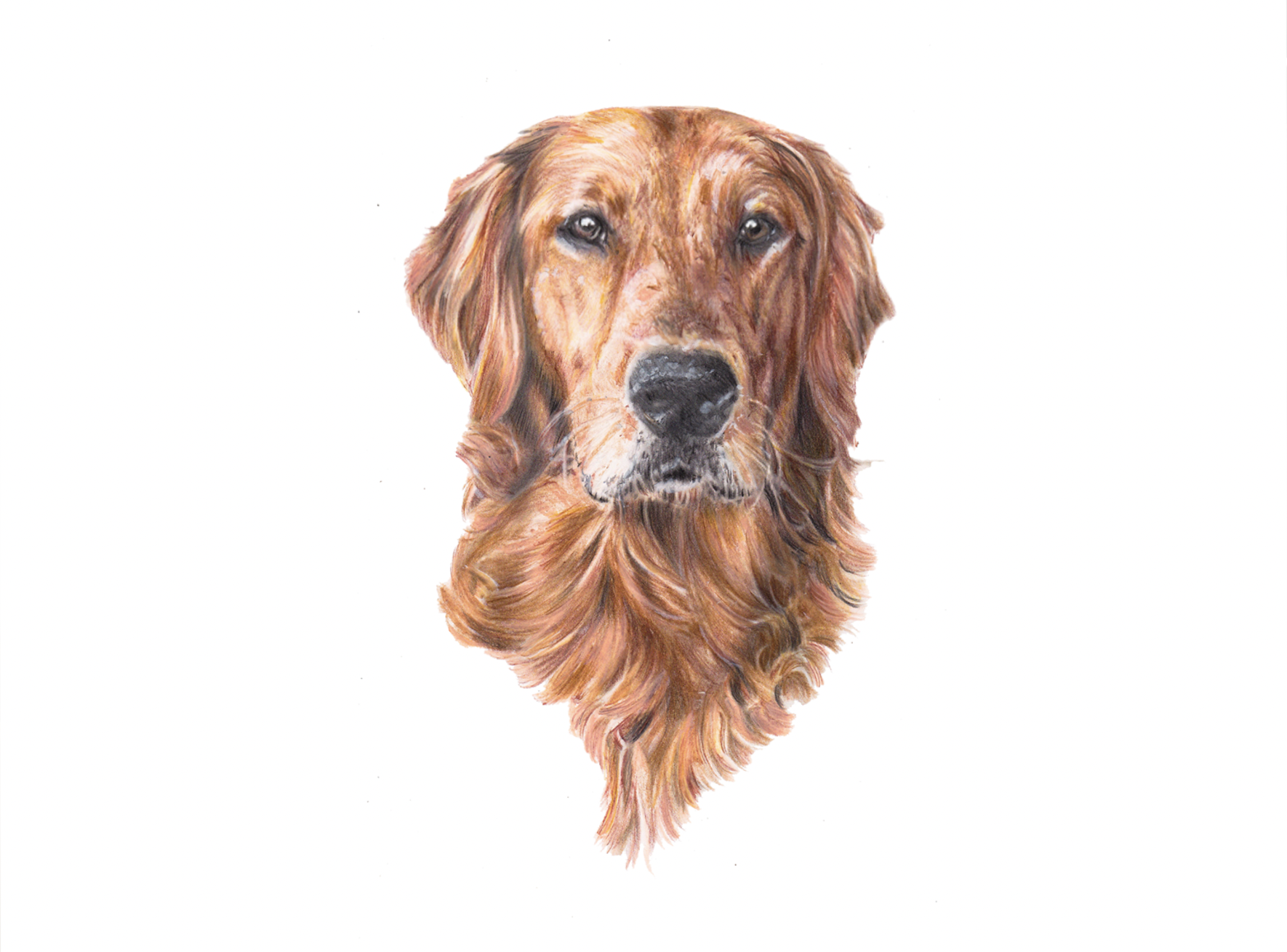 Screenshot 2025-12-27 at 9.40.51 AM.png