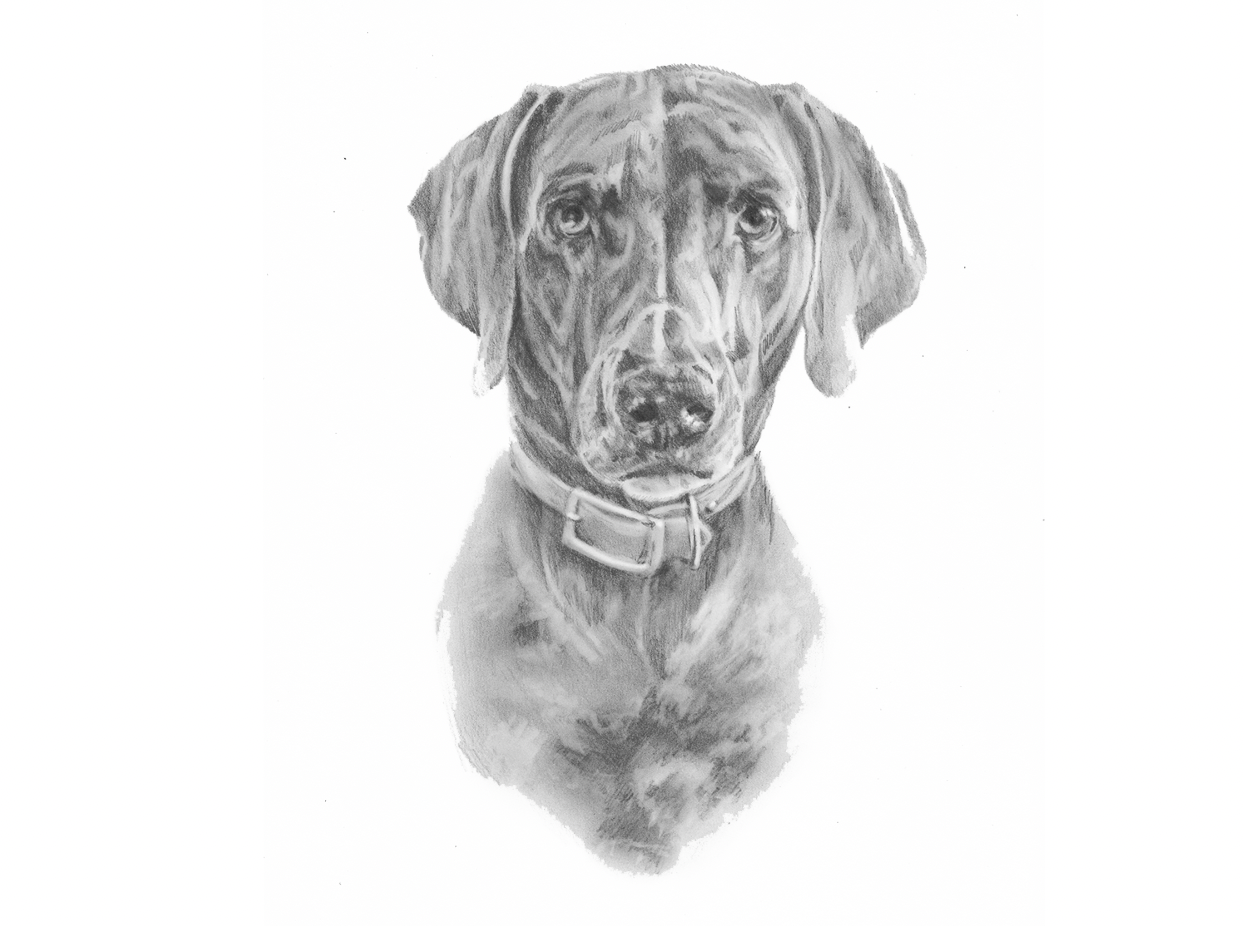 Screenshot 2026-01-10 at 1.46.52 PM.png