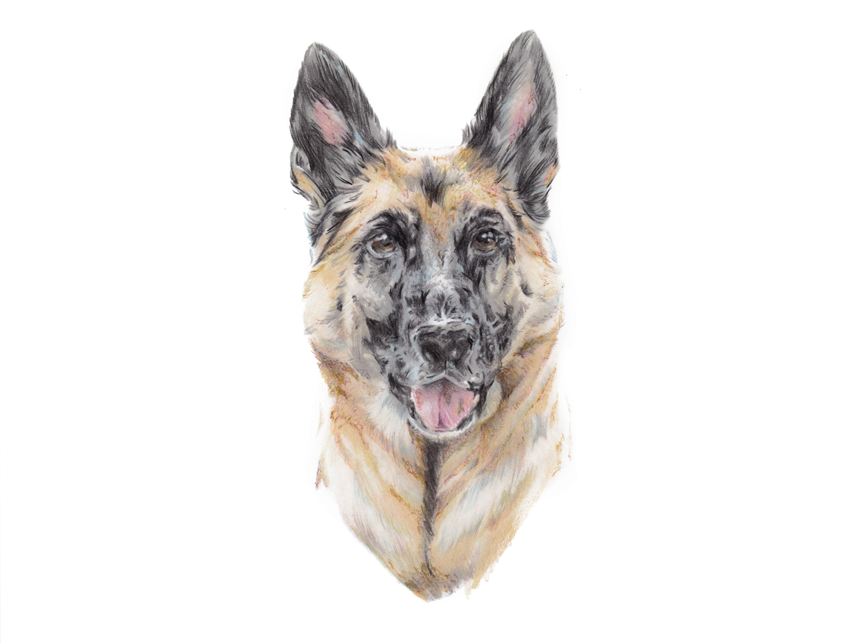 Screenshot 2025-12-27 at 9.43.27 AM.png