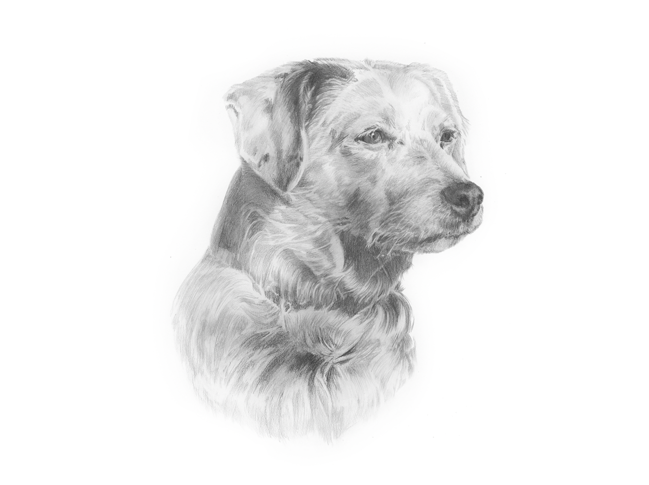 Screenshot 2026-01-10 at 1.48.18 PM.png