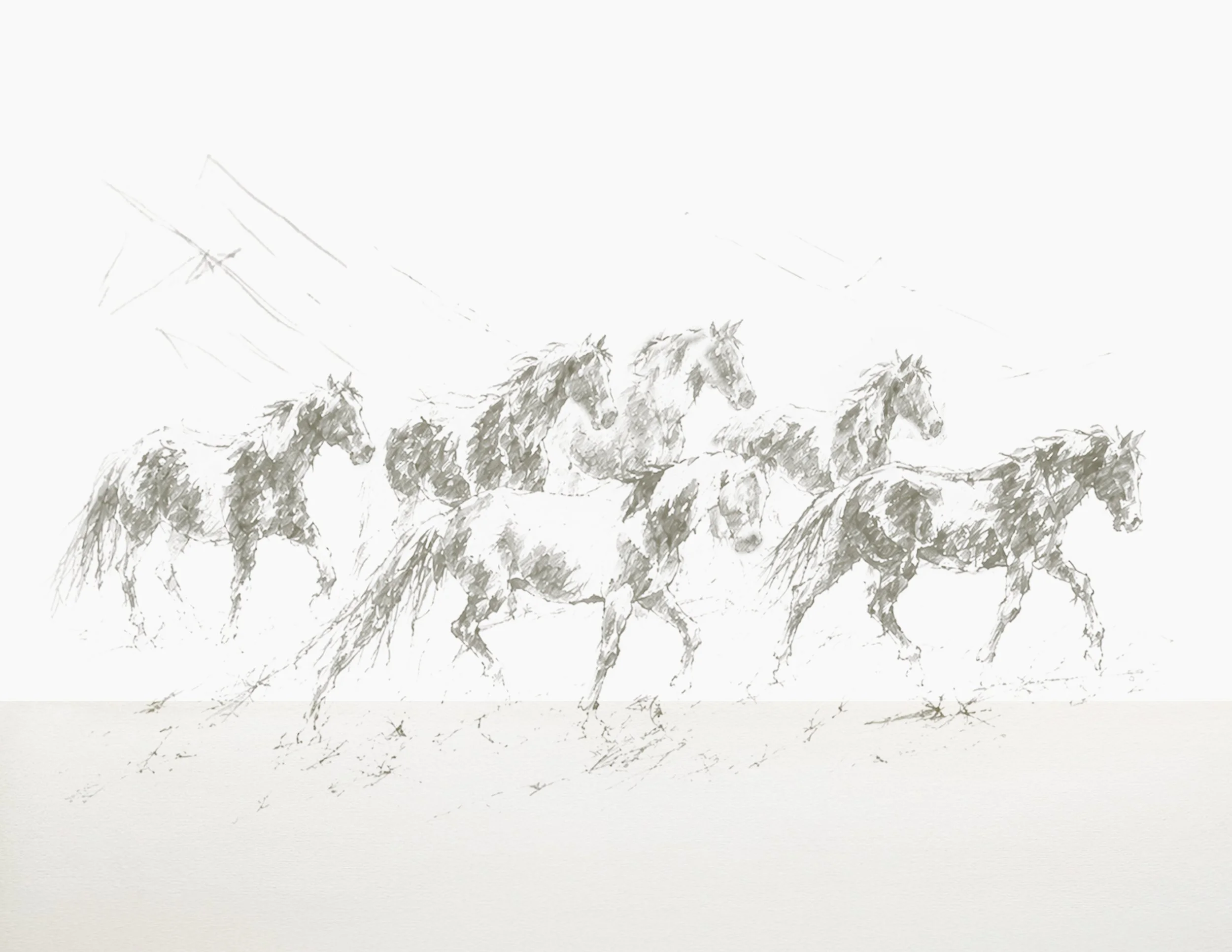 WILD HORSES ADVOCACY