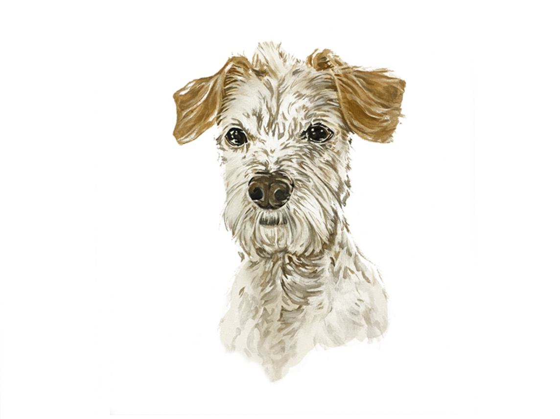 Screenshot 2026-01-10 at 2.24.23 PM.png