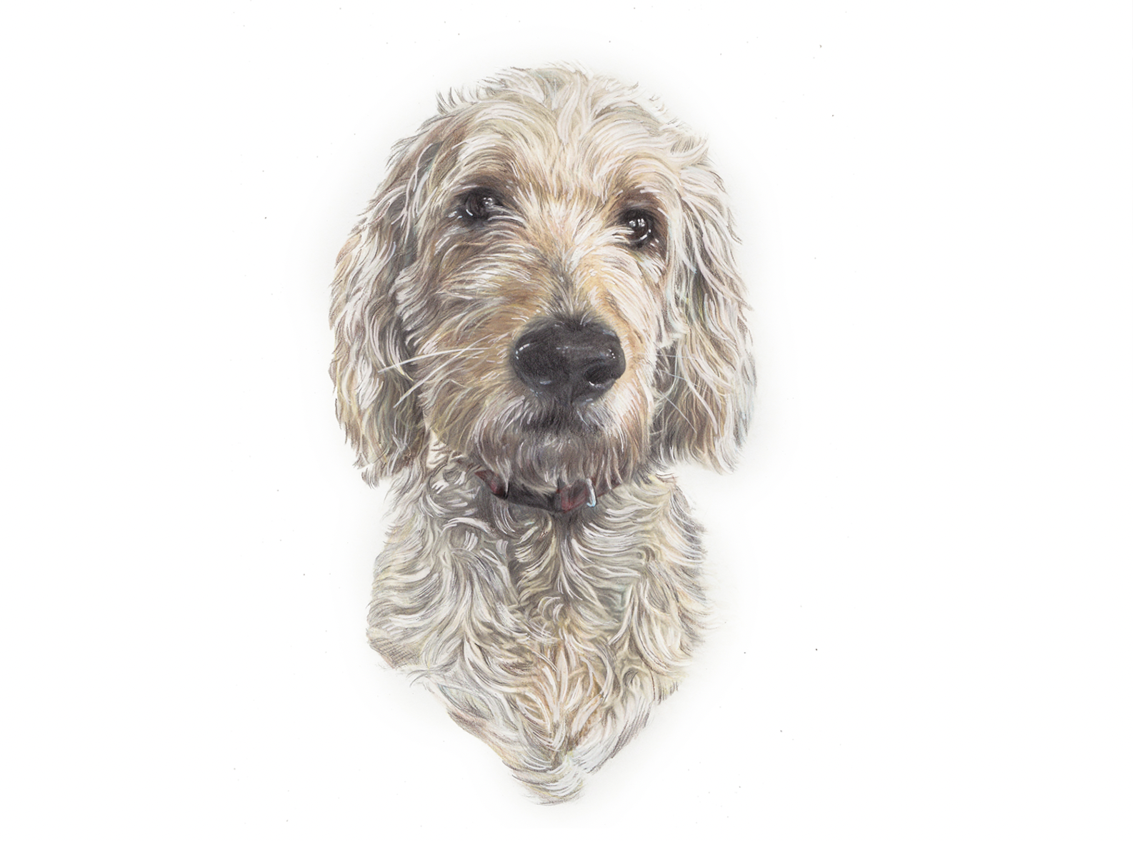 Screenshot 2025-12-27 at 9.44.28 AM.png