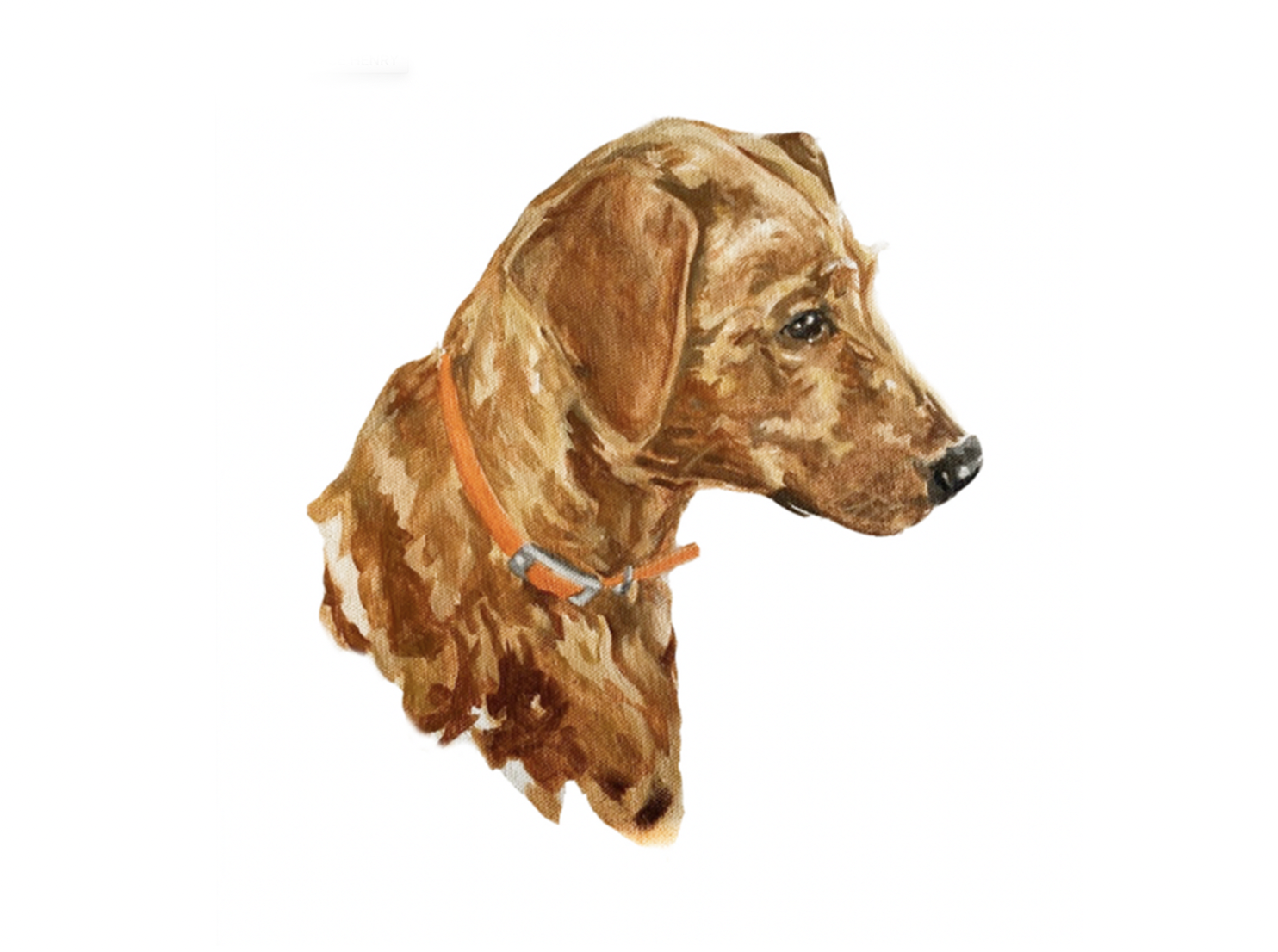 Screenshot 2026-01-10 at 2.18.59 PM.png