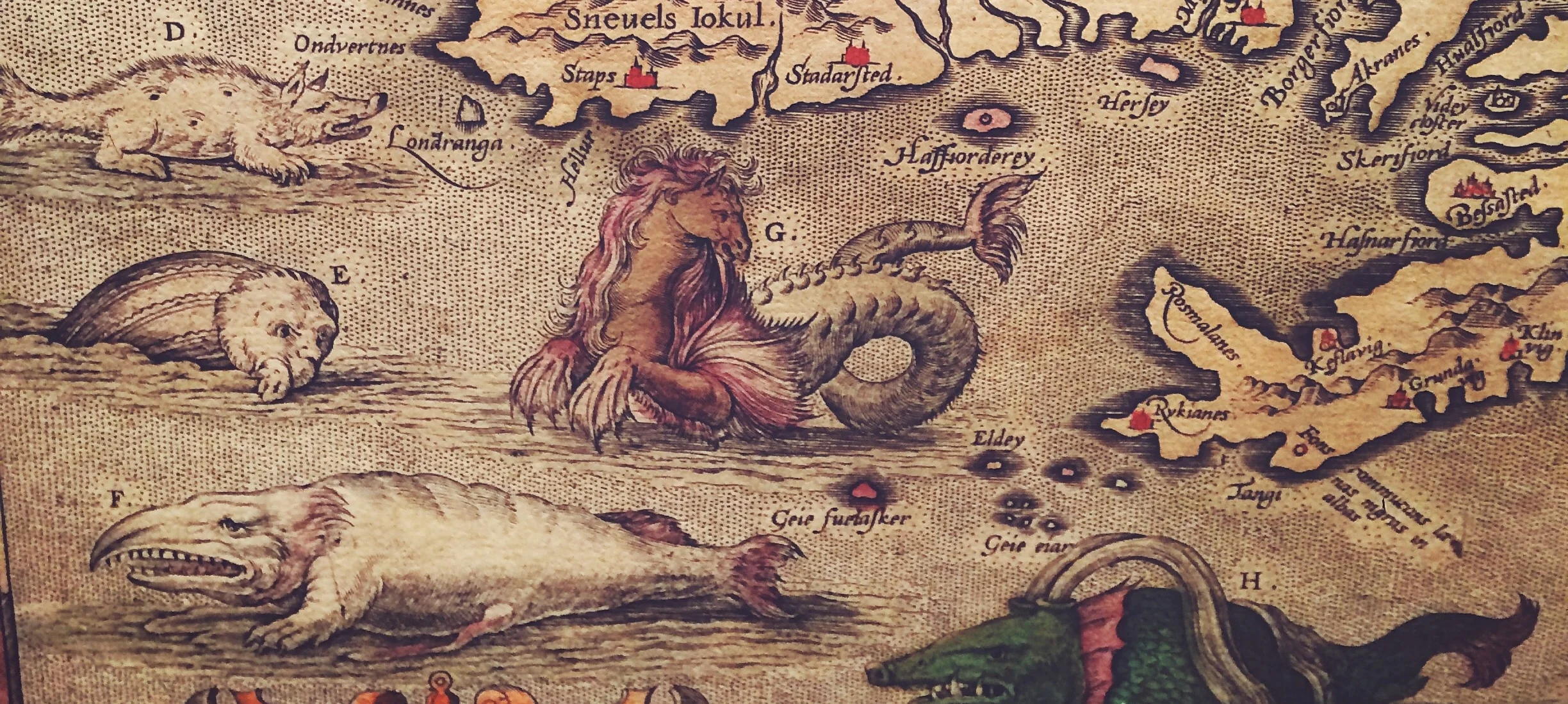 File Jul 08, 5 29 23 PM.jpeg