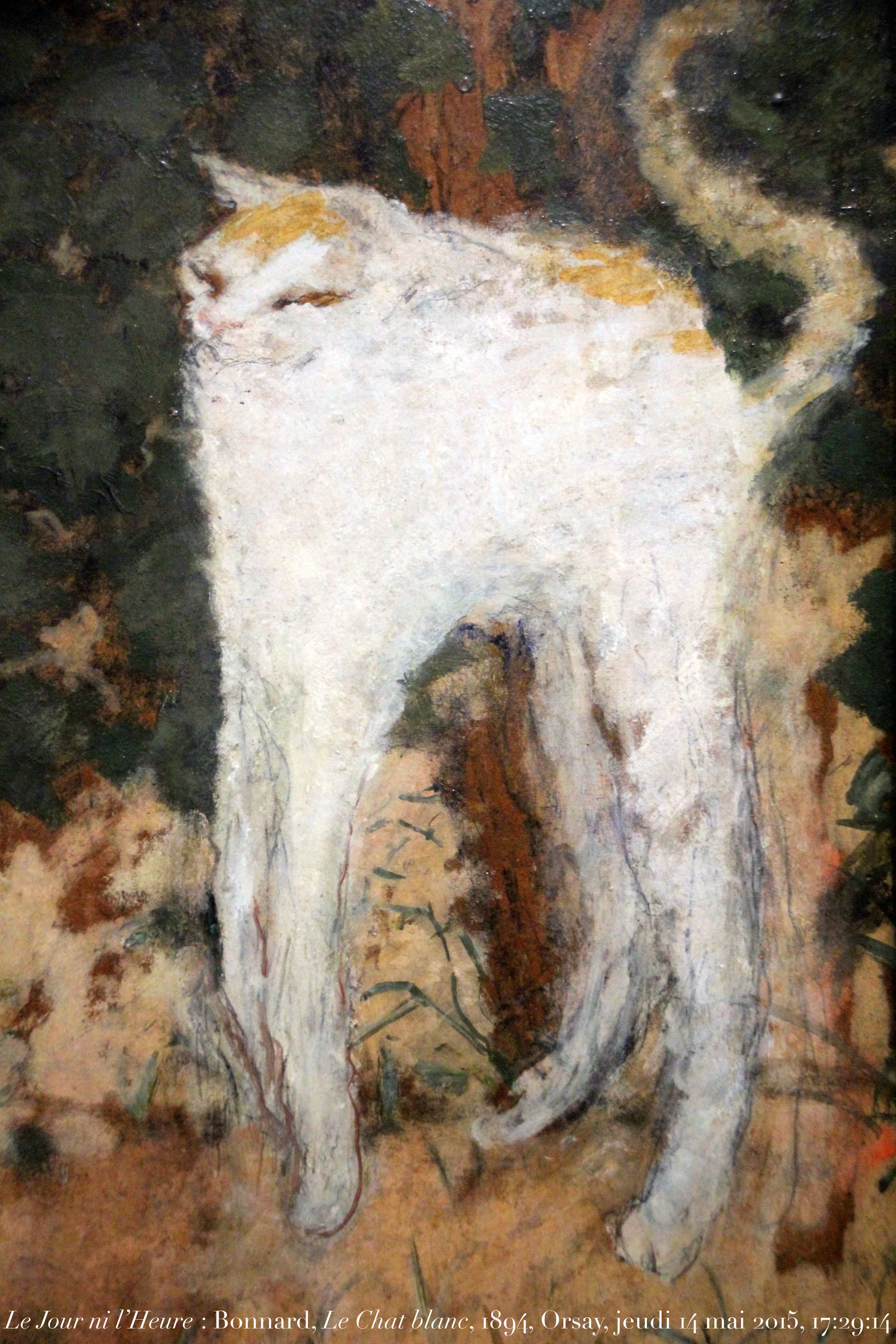 ai #sovereignty | Cedric Foray, image size:2500x3750