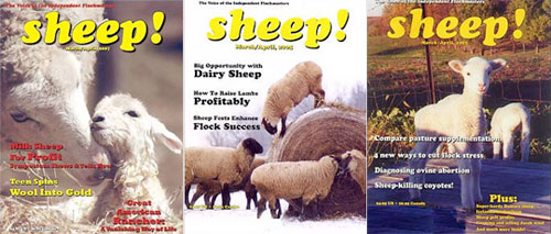 My favorite publications I have come across: "Sheep! Magazine" and "Spudman." Mostly self-explanatory. (image via seriouseats.com)
