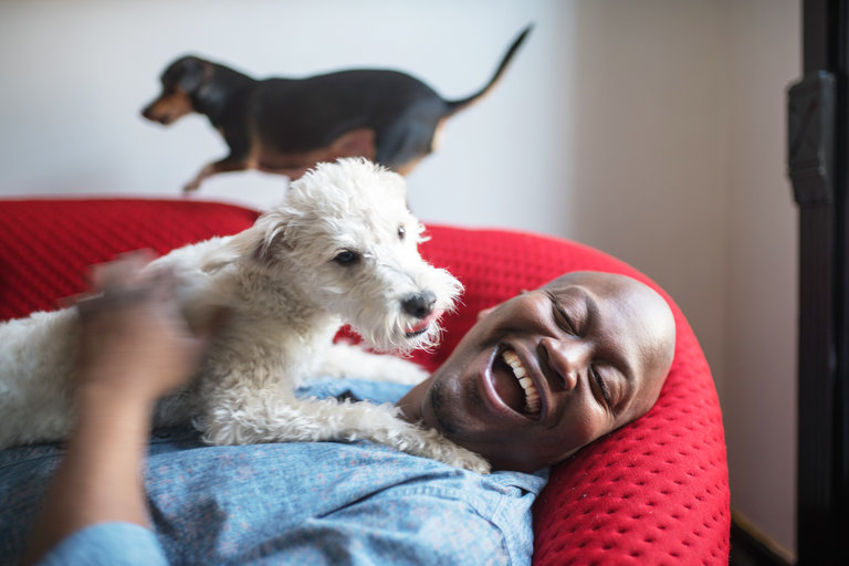 The actor Tituss Burgess with his dogs on a recent Sunday morning. ( Image via Emon Hassan for The New York Times)