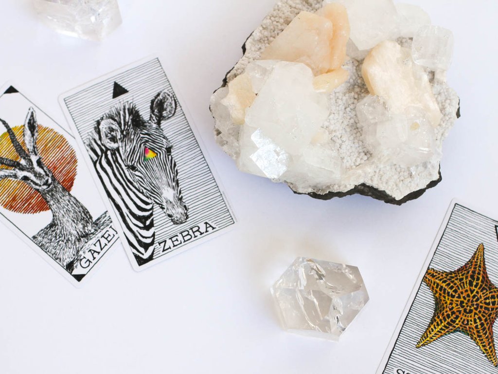 "Use the deck for self-reflection, as an oracle, for inspiration." (via thewildunknown.com )