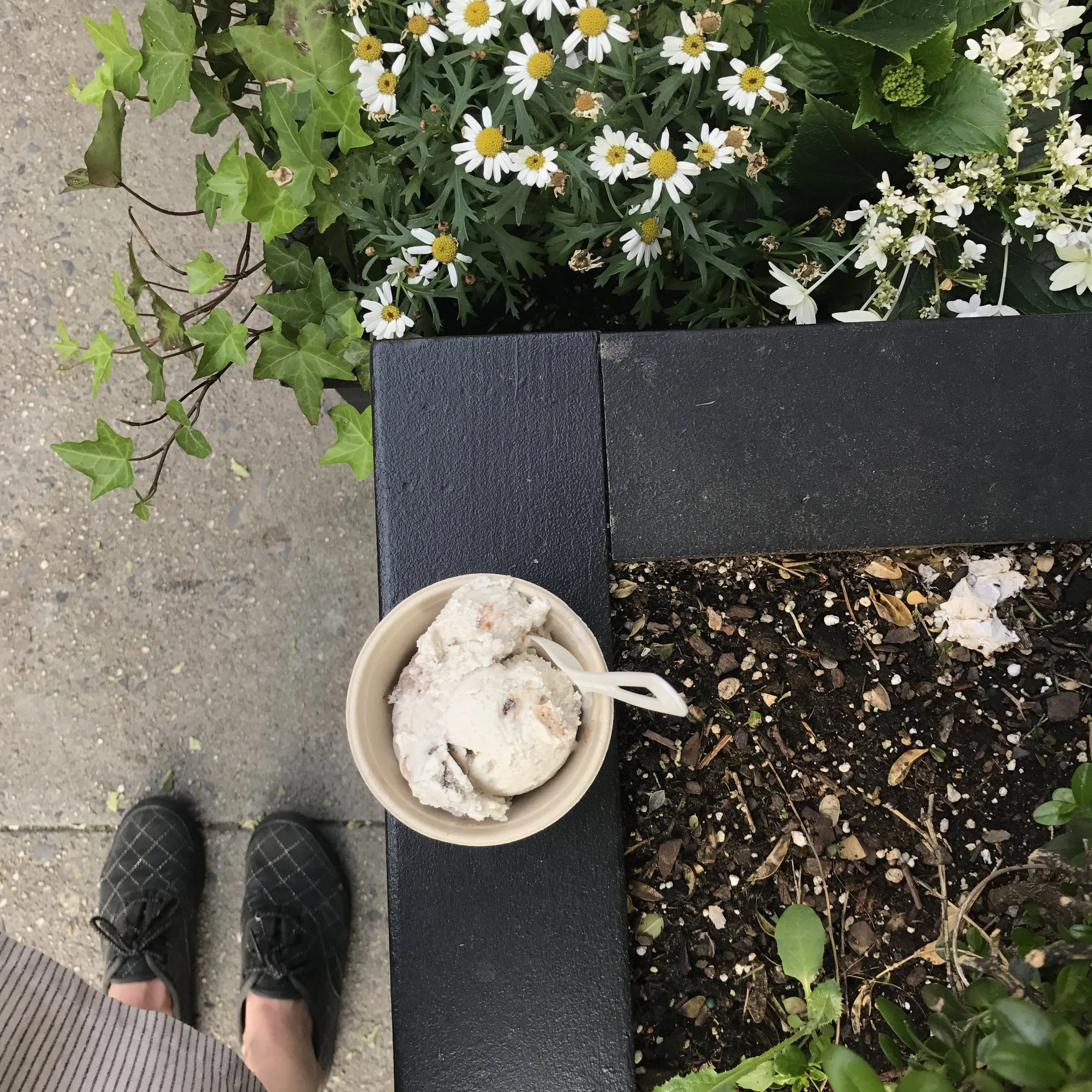 It was unseasonably warm and my feet felt like they were bleeding and the ice cream tasted just like heaven. 