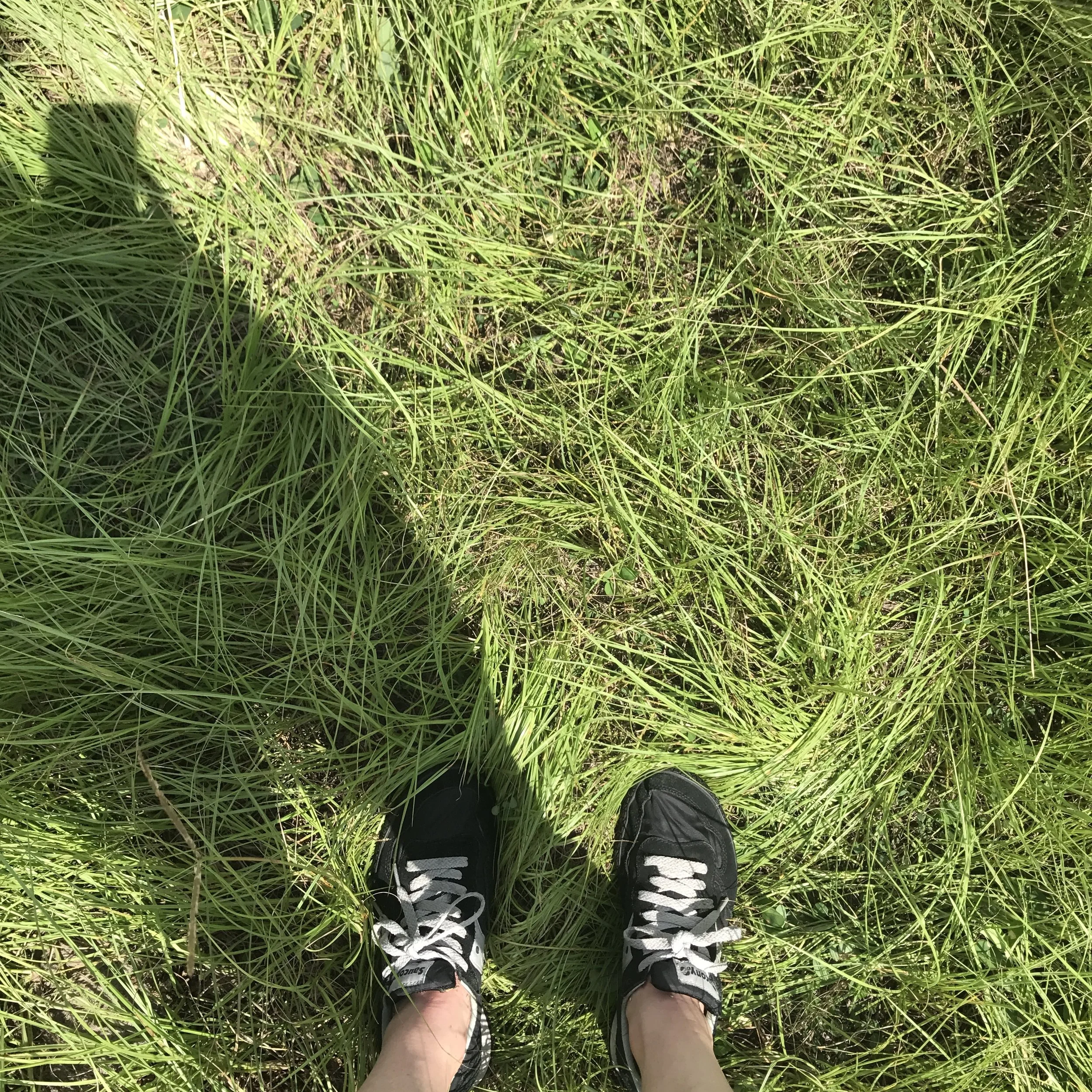 So much Florida flora.