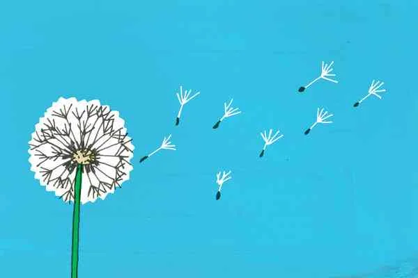 I'm into wishes. (image by Julia Rothman via nytimes)