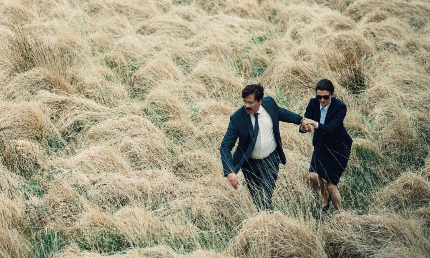 From "The Lobster." These colors are my aesthetic. (image via asff )