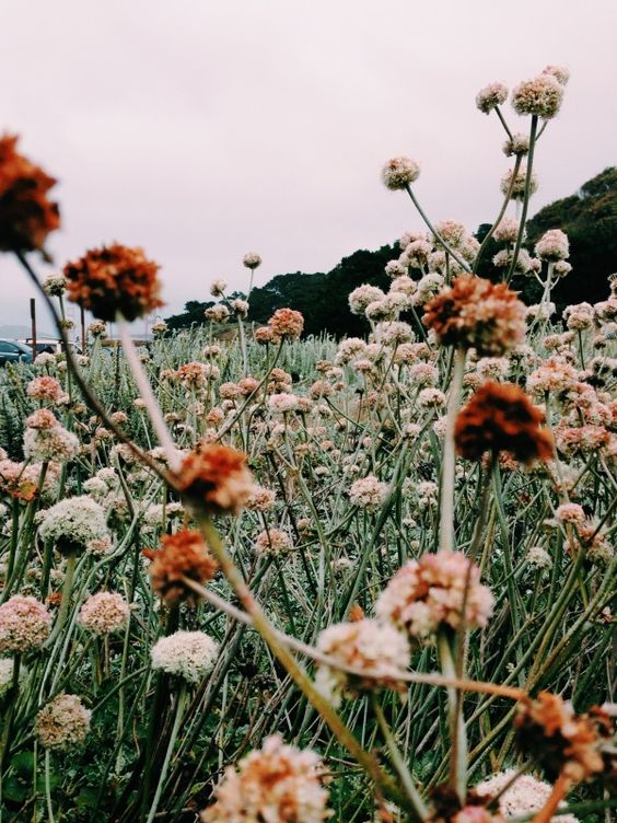 (image by Gabrielle Assaf )
