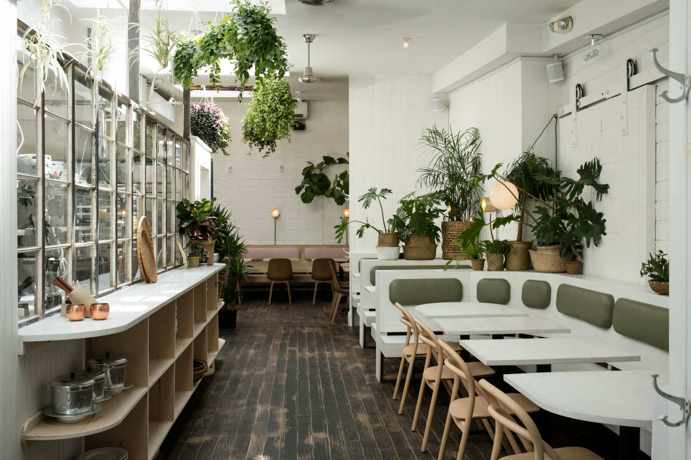 "The plant-strewn bar and dining room were designed by the Red Hook–based Ladies & Gentlemen Studios." (Photo by Melissa Horn via grubstreet)