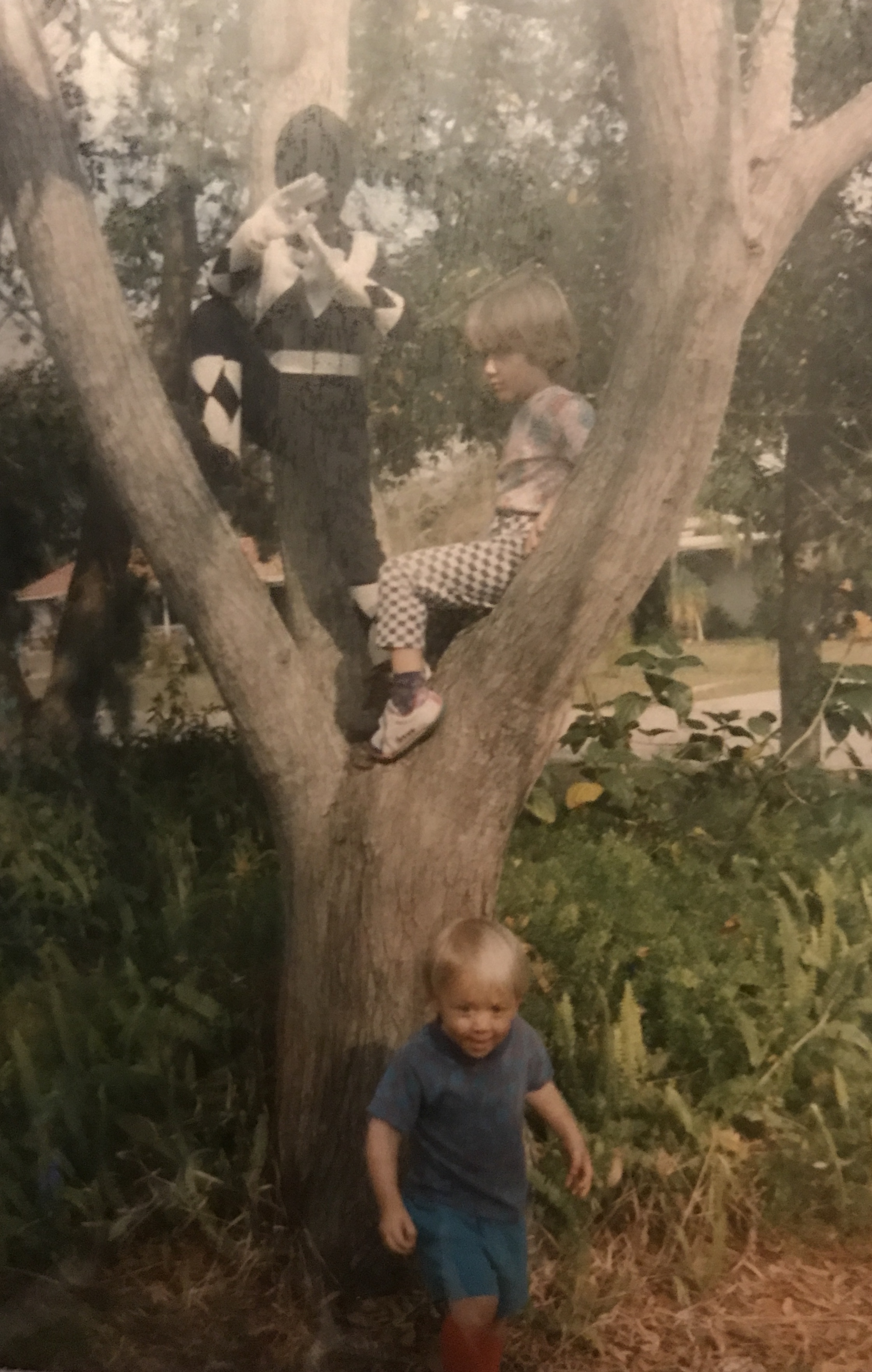 This sums it up. Myself in the middle.