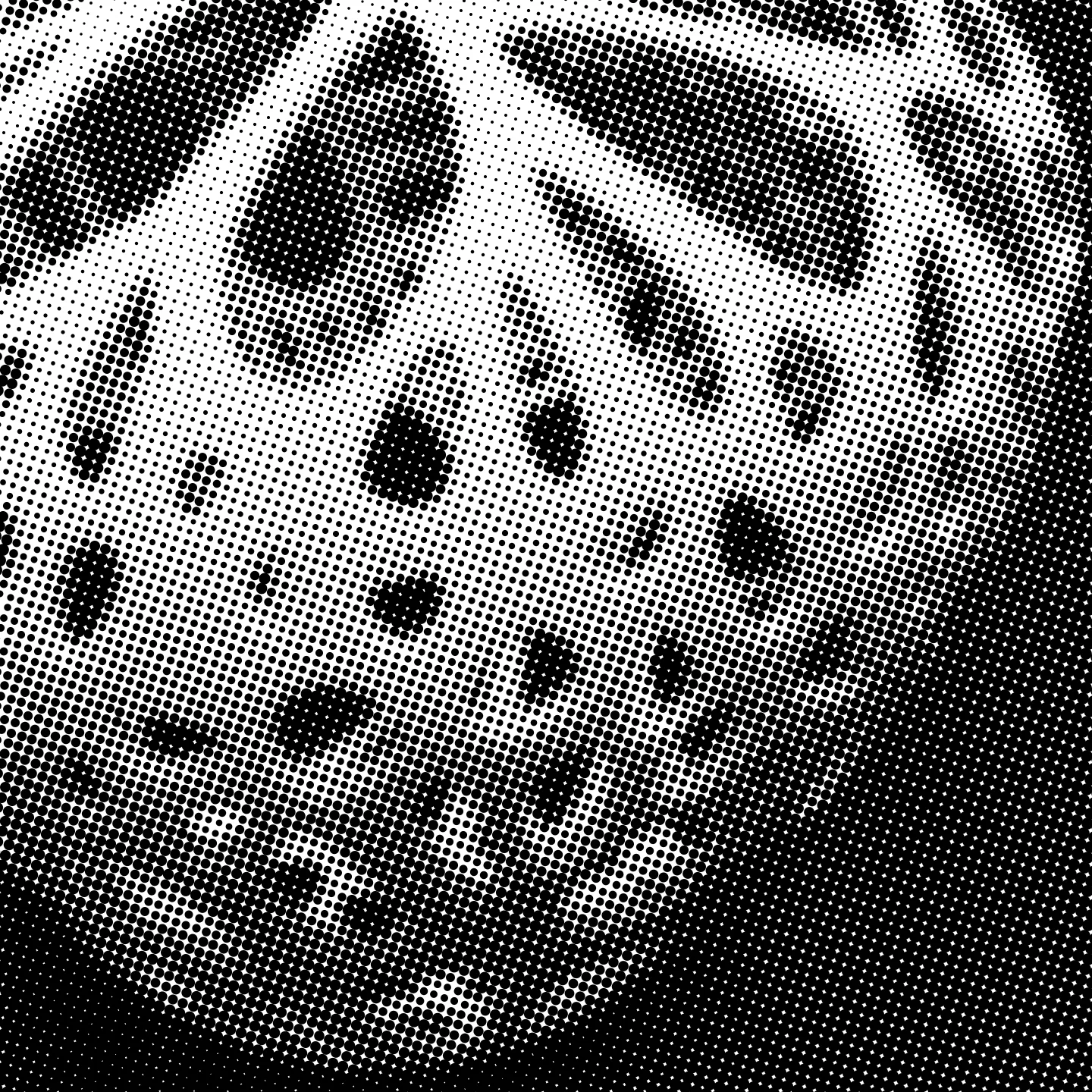 Image2.jpg