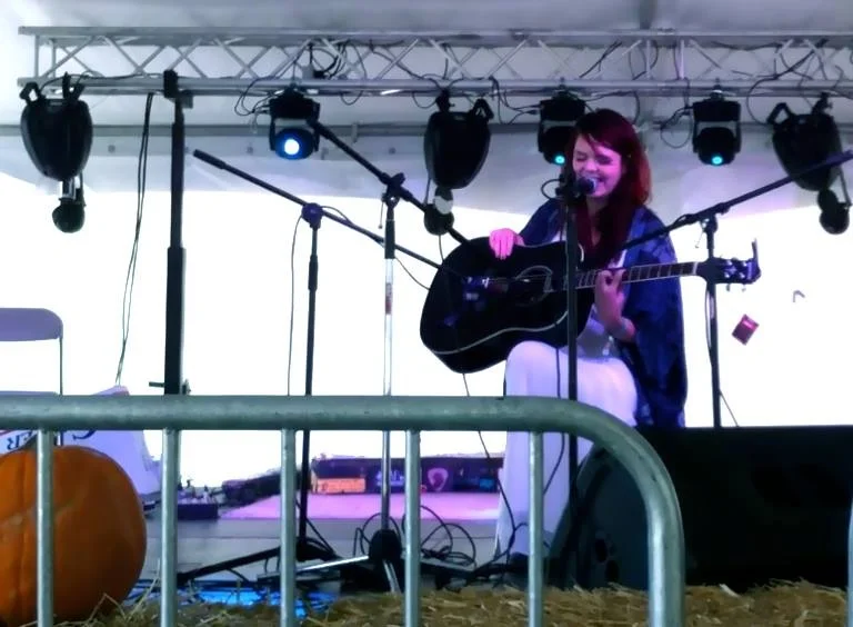 Harvest Music Festival 2013