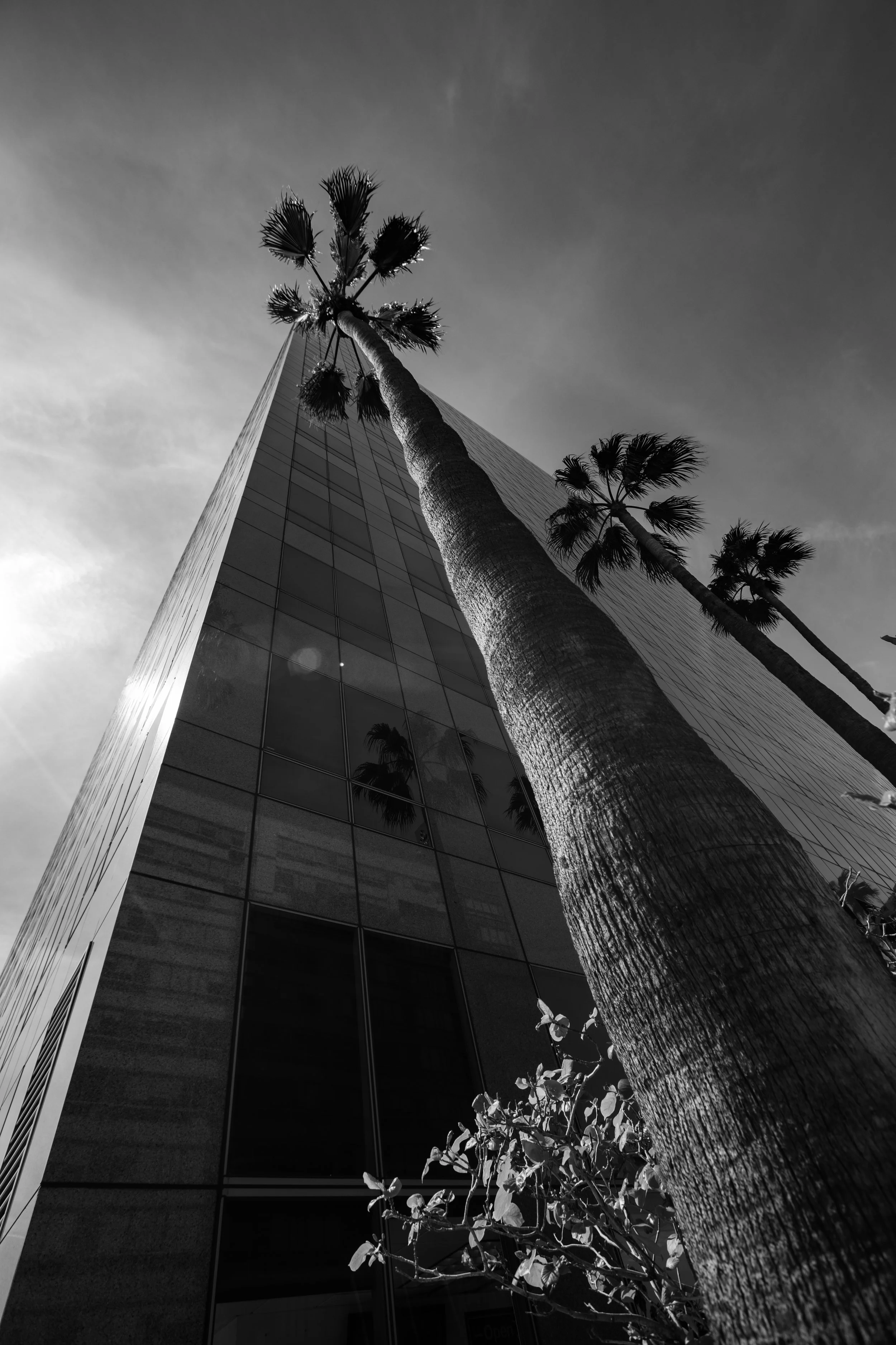 Wilshire