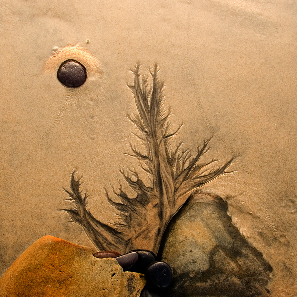 Lone Pine
