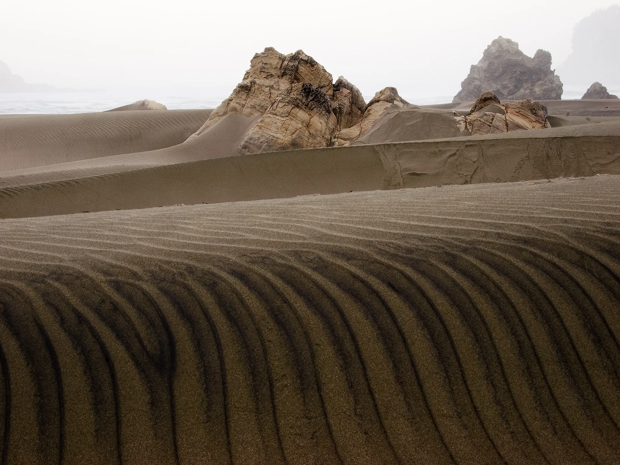 Pistol_River_Dune_C20_3985.jpg