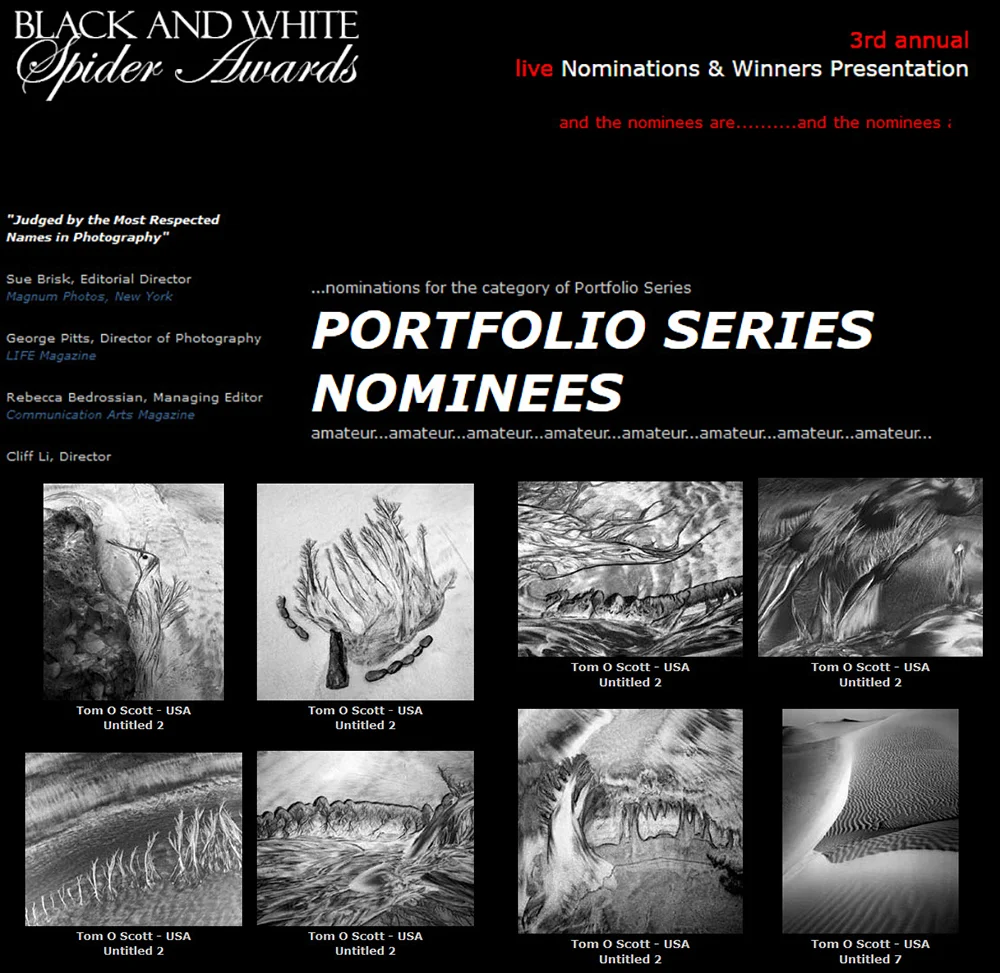 3rd Black & White Spider Awards