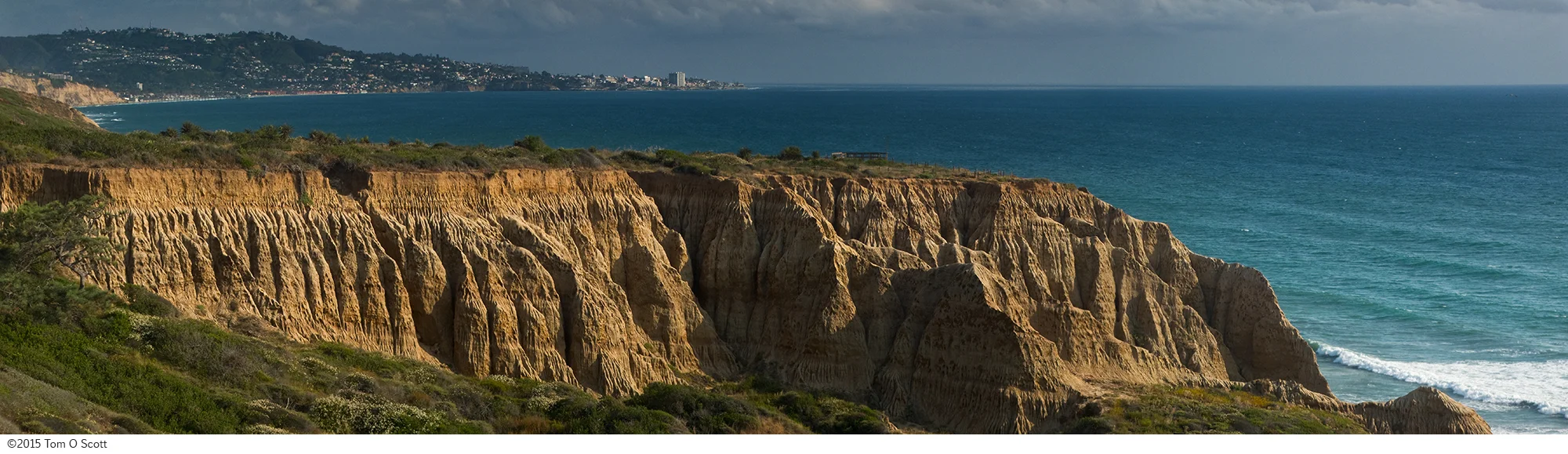La Jolla From Torrey Pines