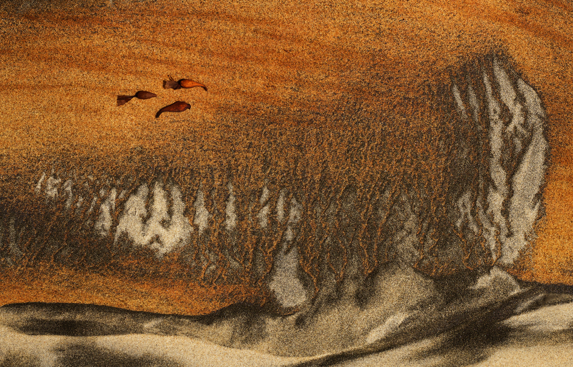 Dusk Migration ©2014 Tom O Scott