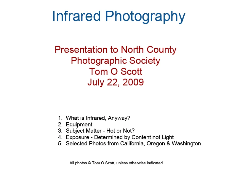 Infrared_Photography-1.jpg