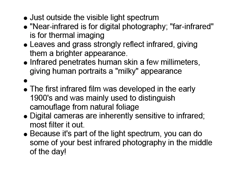 Infrared_Photography-3.jpg