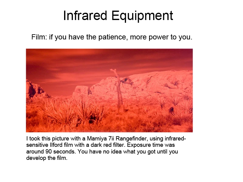 Infrared_Photography-4.jpg