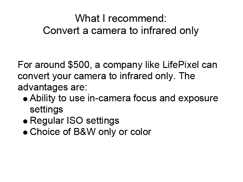 Infrared_Photography-6.jpg