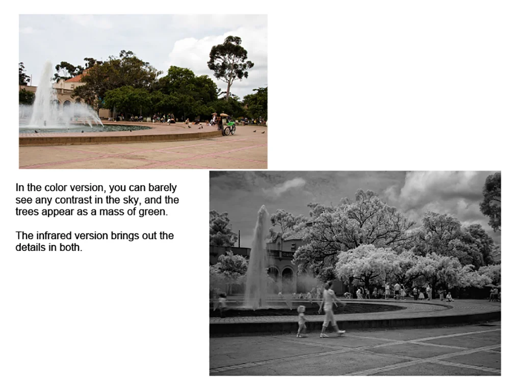 Infrared_Photography-12.jpg