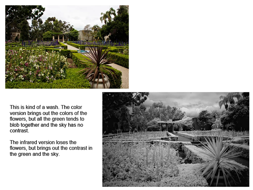 Infrared_Photography-13.jpg