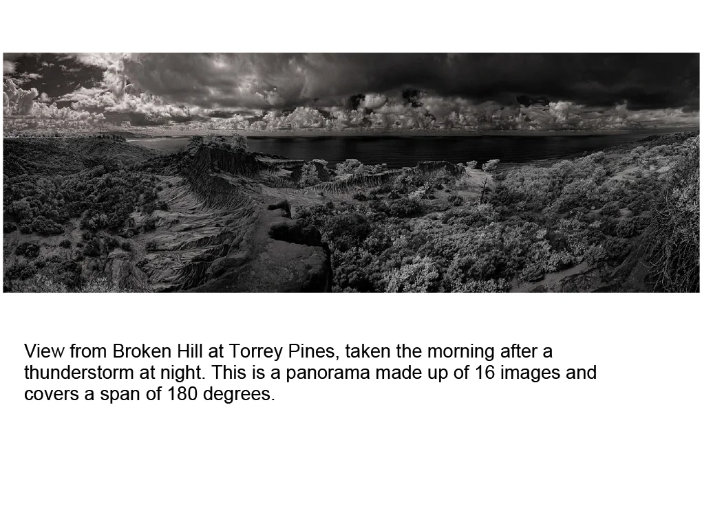 Infrared_Photography-25.jpg