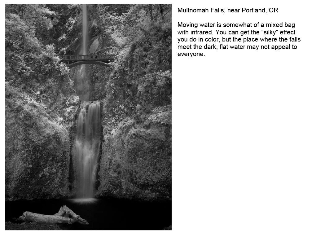 Infrared_Photography-32.jpg