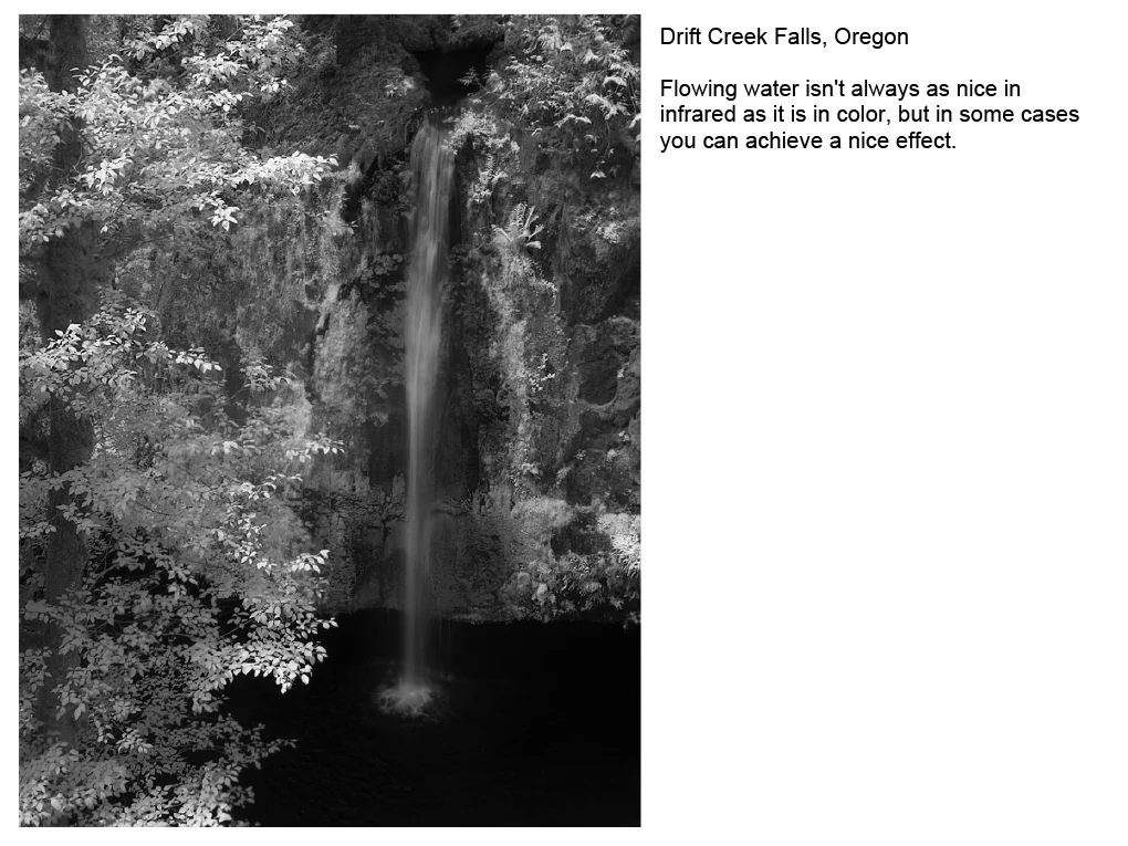 Infrared_Photography-38.jpg