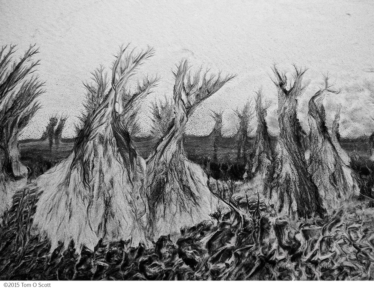 Bonfires in the Sand
