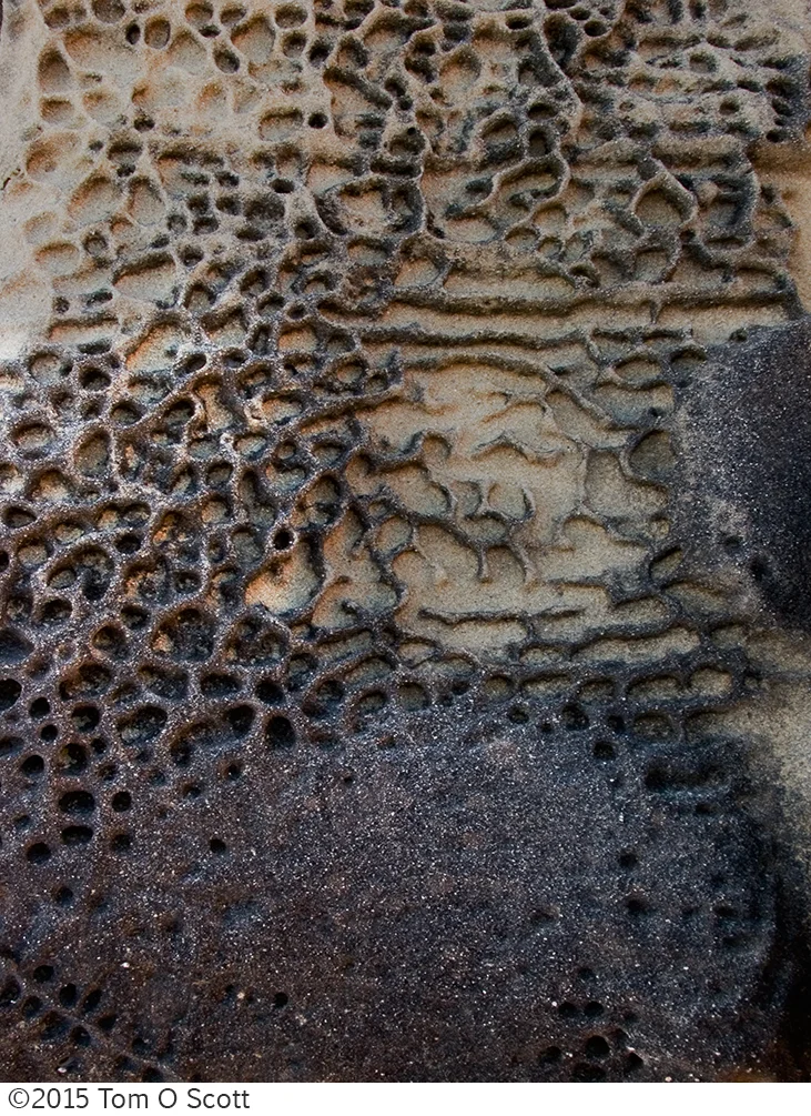 Beehive