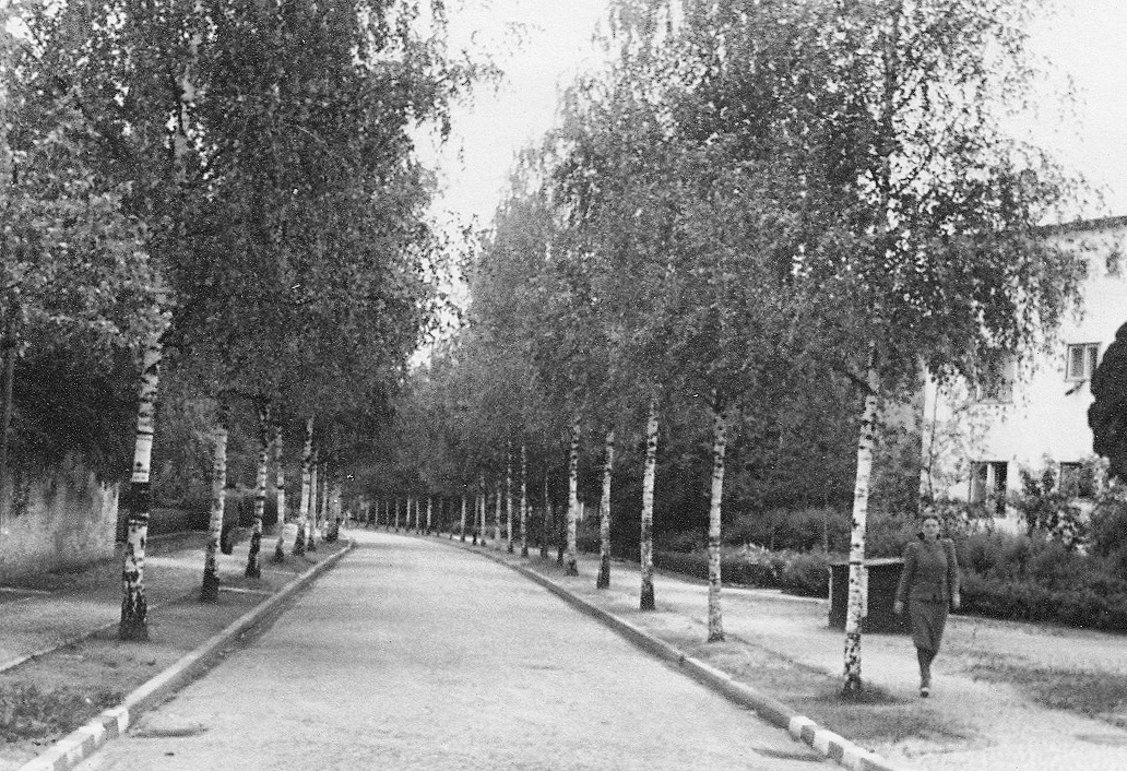 024_Scotts_1935-1942.jpg