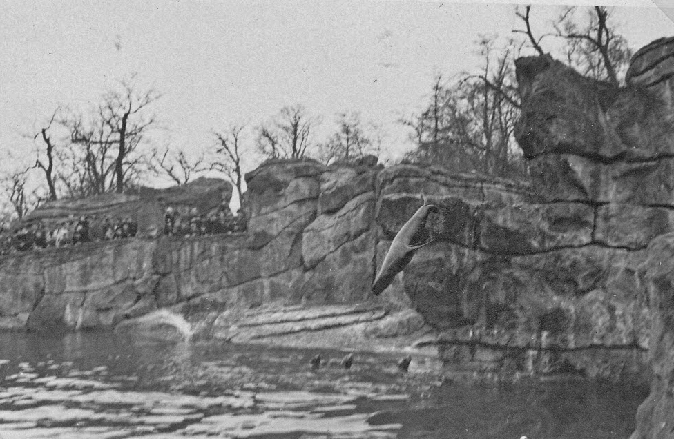 151_Scotts_1935-1942.jpg