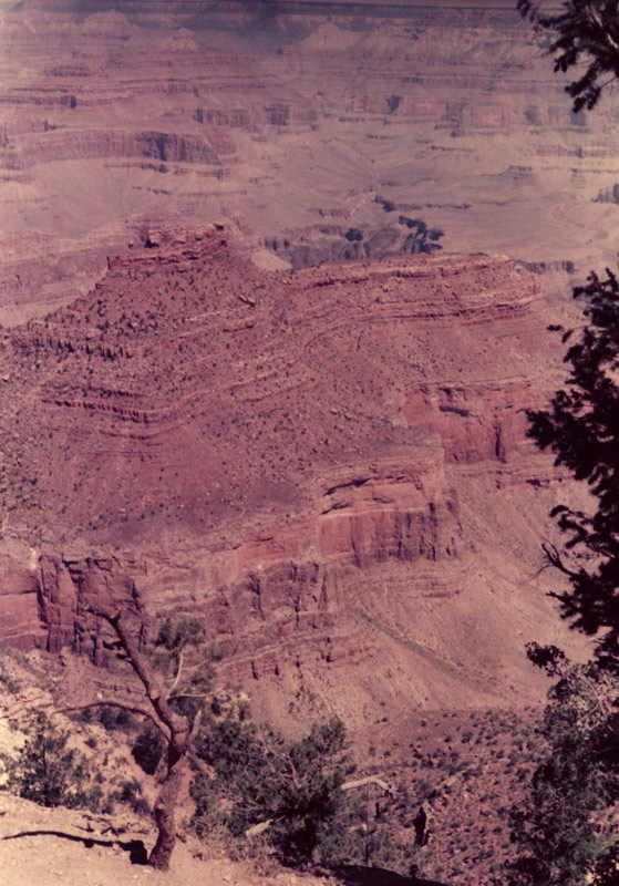 A35_007.jpg