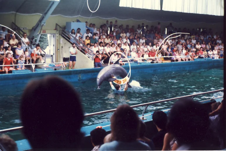 A65_Sarah-1983_087.jpg