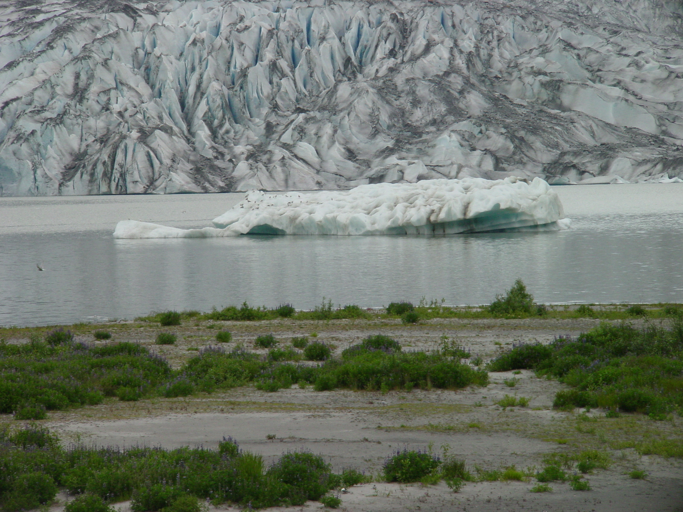 A75-Alaska_010.jpg